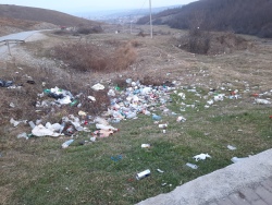 Photo of this report
