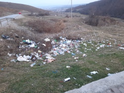 Photo of this report