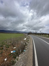 Photo of this report
