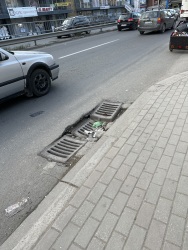Photo of this report