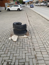 Photo of this report