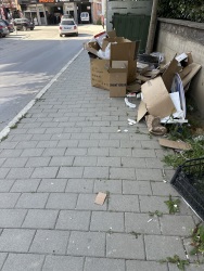 Photo of this report