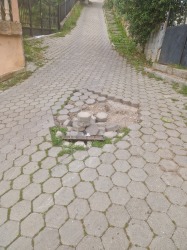Photo of this report
