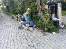 Photo of this report