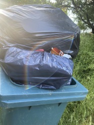 Photo of this report