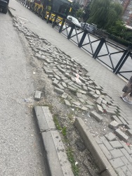 Photo of this report