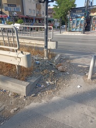 Photo of this report