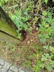 Photo of this report