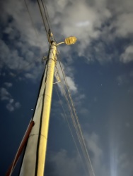 Photo of this report