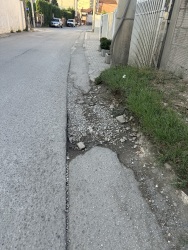 Photo of this report