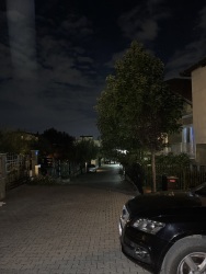 Photo of this report