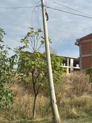 Photo of this report