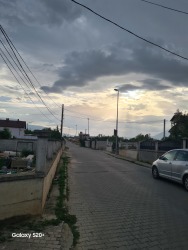 Photo of this report