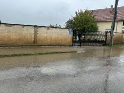 Photo of this report