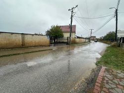 Photo of this report