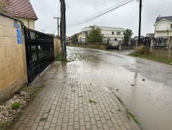 Photo of this report