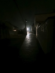 Photo of this report