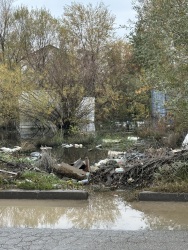 Photo of this report