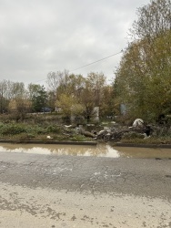 Photo of this report