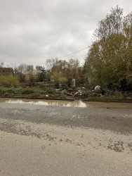 Photo of this report