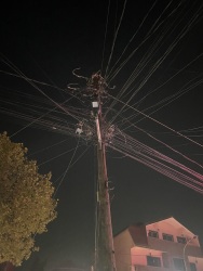 Photo of this report