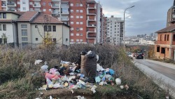 Photo of this report