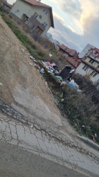 Photo of this report