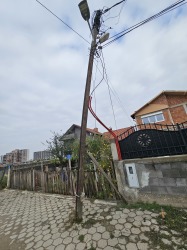 Photo of this report