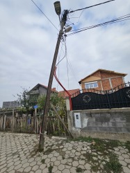 Photo of this report