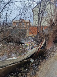 Photo of this report