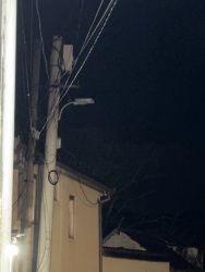 Photo of this report