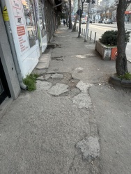 Photo of this report