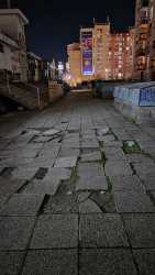 Photo of this report