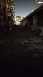 Photo of this report