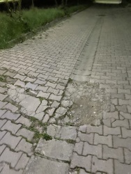 Photo of this report