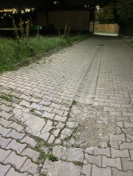 Photo of this report