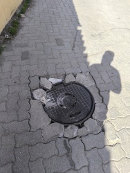 Photo of this report