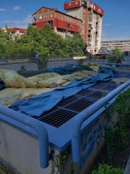 Photo of this report
