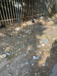 Photo of this report