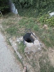 Photo of this report