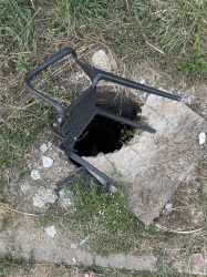 Photo of this report