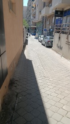 Photo of this report