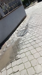 Photo of this report