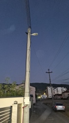 Photo of this report