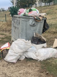 Photo of this report