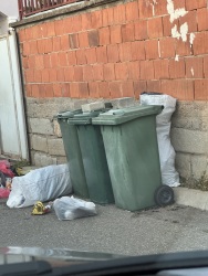Photo of this report