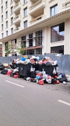 Photo of this report