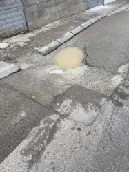 Photo of this report