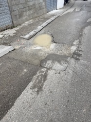 Photo of this report