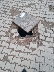 Photo of this report